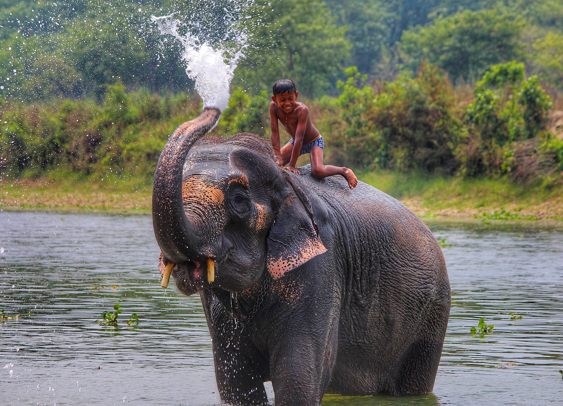 Chitwan National Park